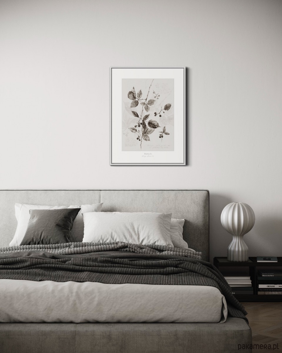 plakaty Plakat Jeżyna 4