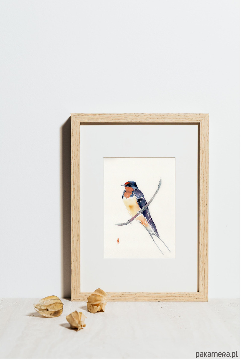 obrazy Oryginalna akwarela. Jaskółka 2
