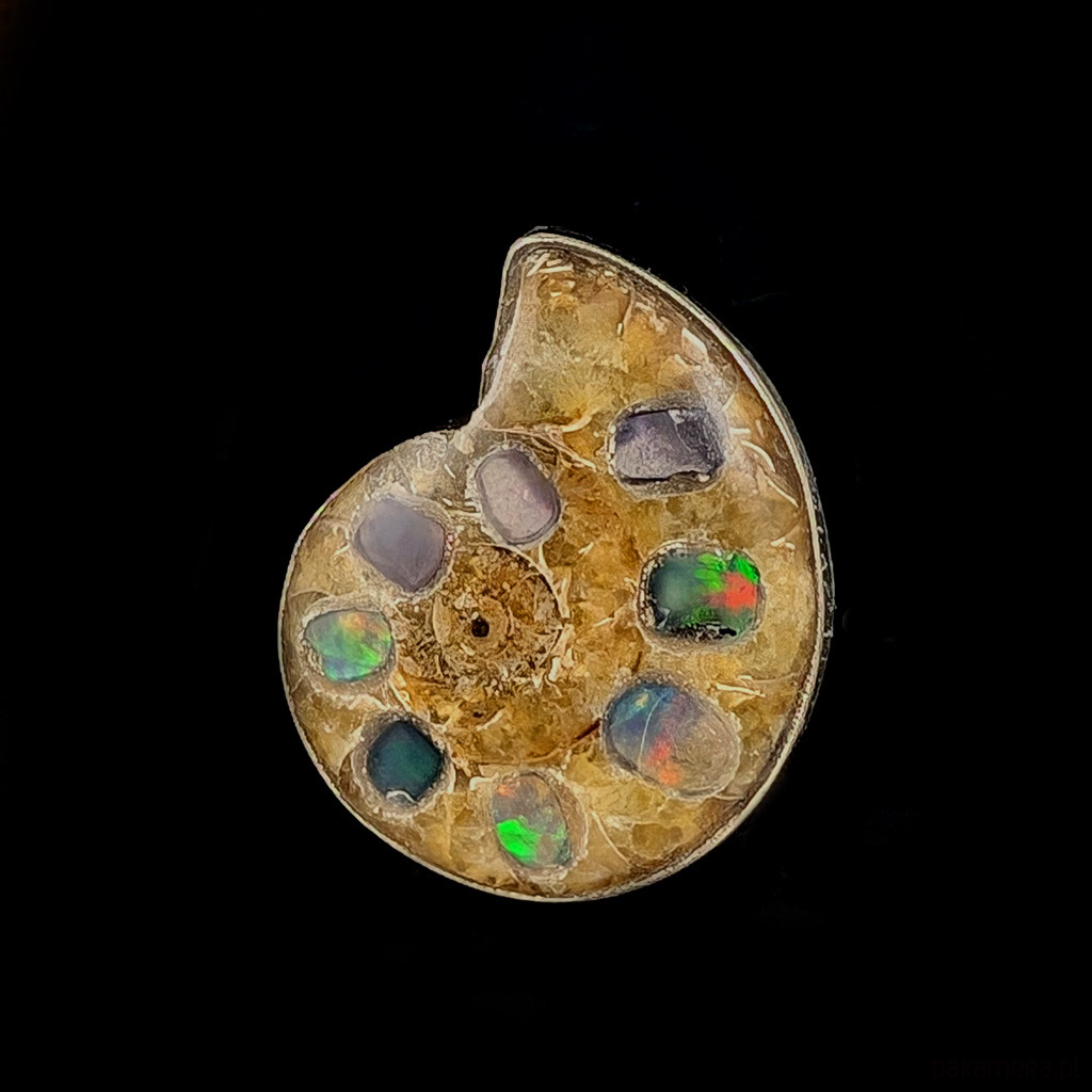 pierścionki srebrne Pierścionek fossil & opal 2