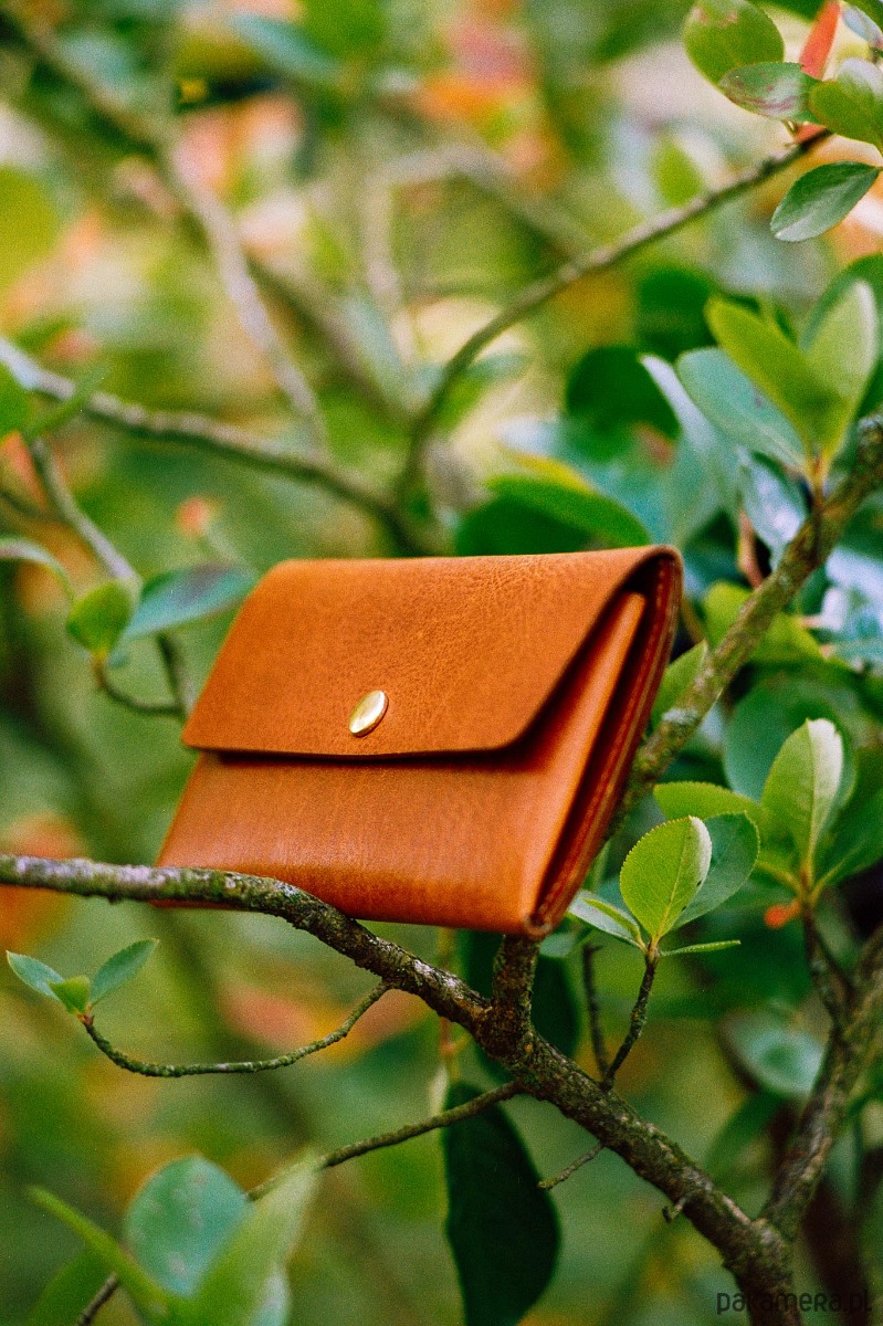 portfele damskie IRUN portfel czekoladowy 4