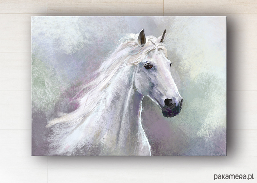 obrazy Obraz - Biały koń - wydruk na płótnie 1