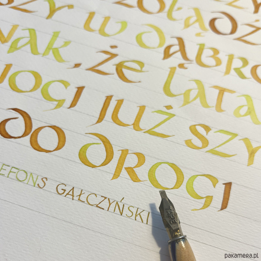 Warsztaty inne Pojedyncze zajęcia Kaligrafia historyczna Poniedziałki 18:00-20:00 3