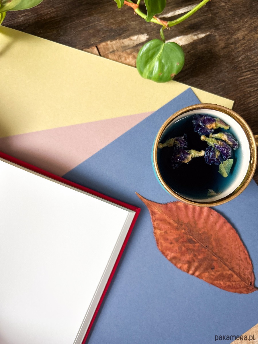 notatniki i albumy Notes Somnium (czerwień) 3