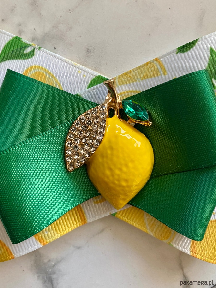 broszki Brosza z Cytryną Kolekcja Limitowana  FRUIT Nowość 3