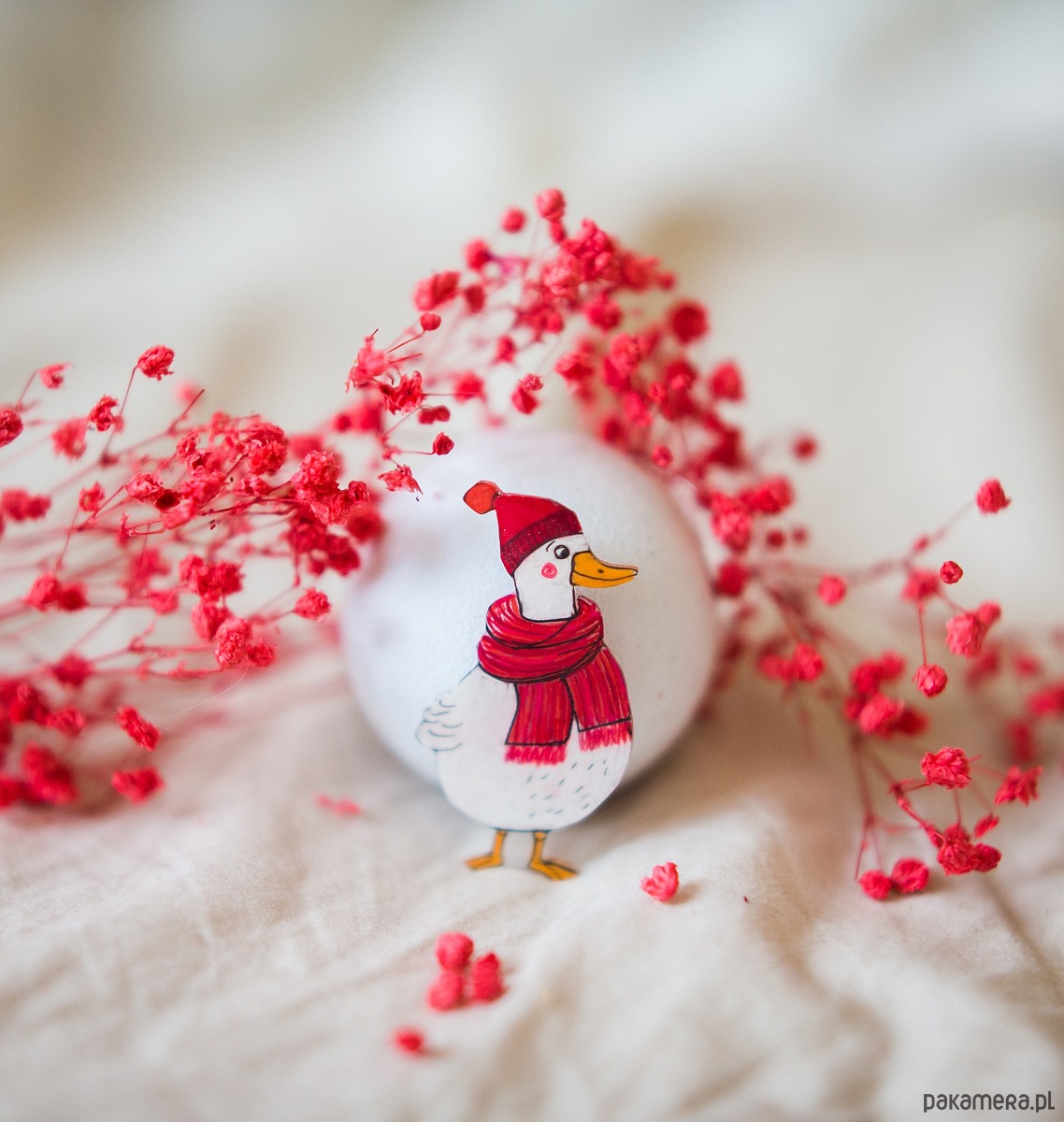 biżuteria dla dzieci Broszka gąska Balbinka 1