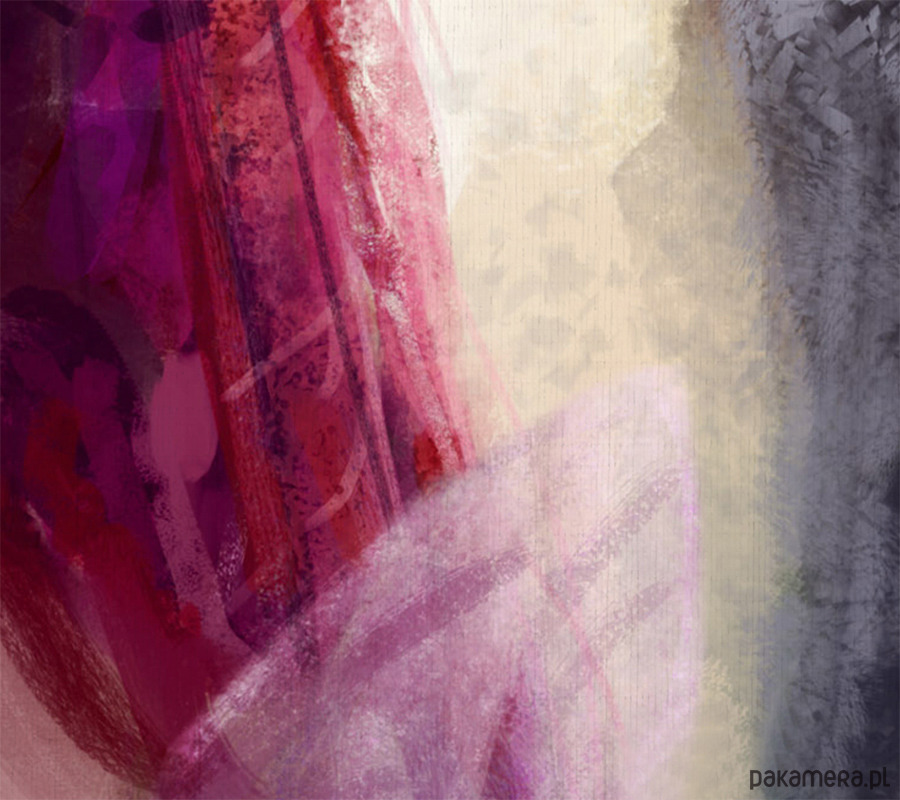 obrazy Obraz - Wróżka - wydruk na płótnie 3