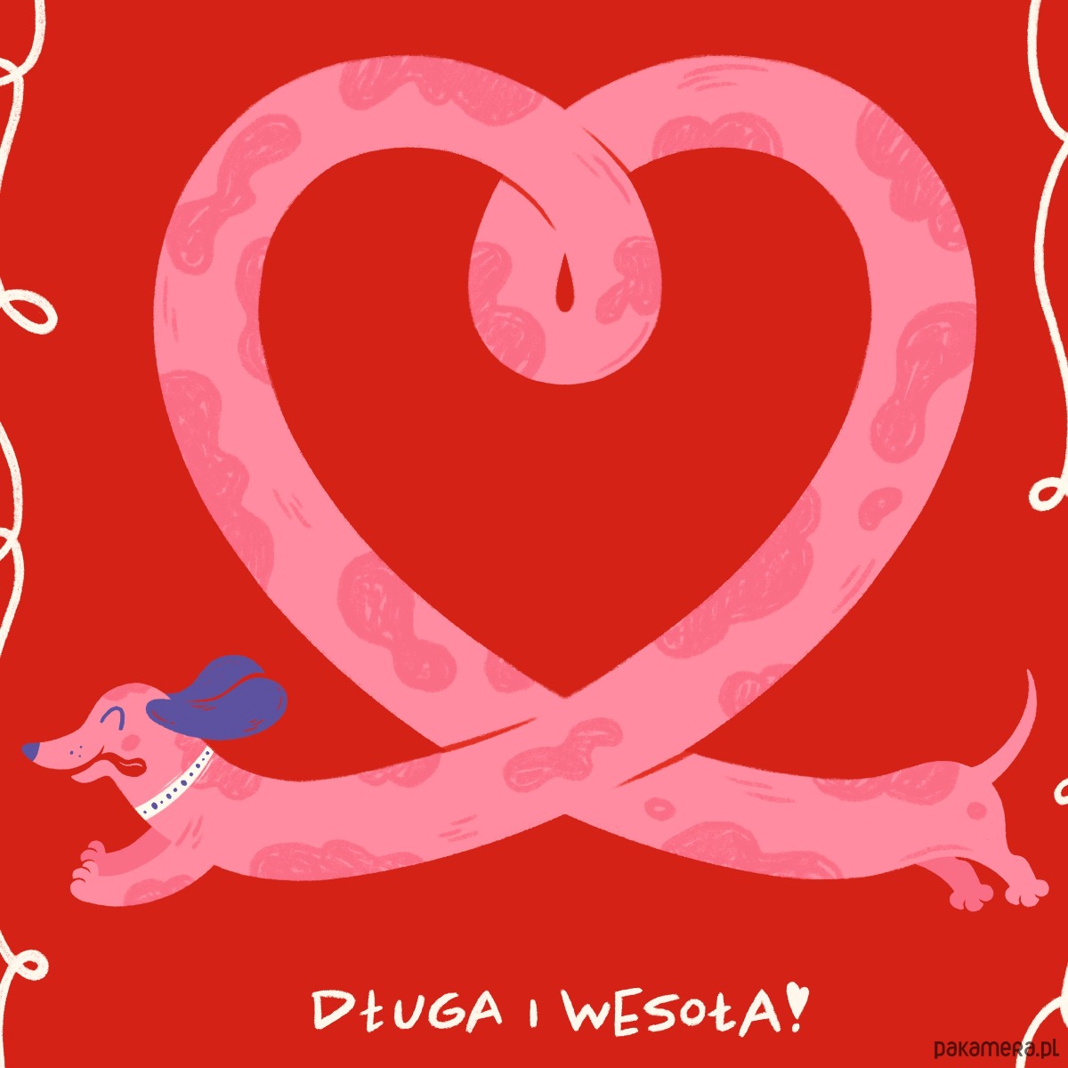 plakaty Plakat "Jamnik" 1