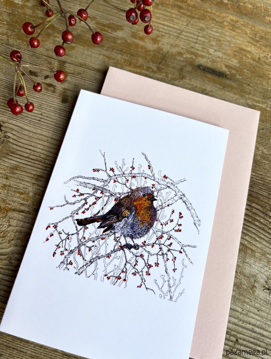 kartki okolicznościowe - wydruki Rudzik- Kartka- Grafika- Ilustracja- Ptaki 3