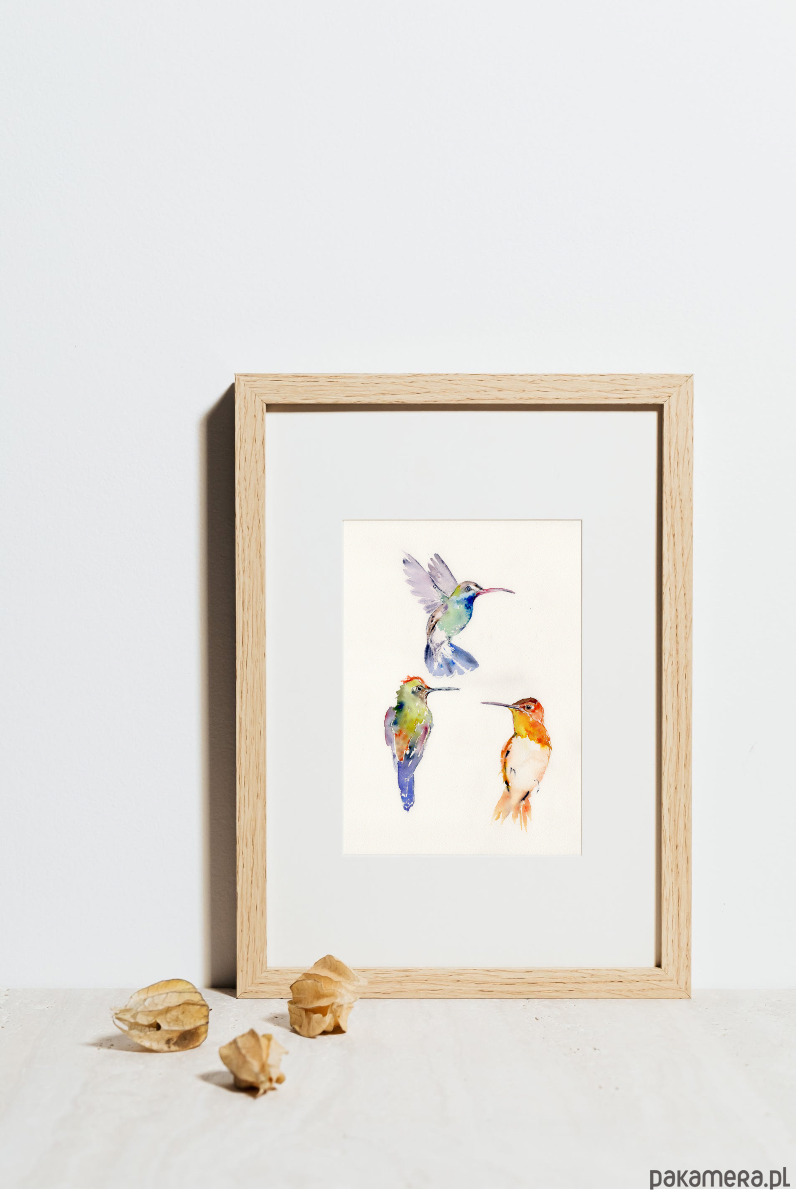 obrazy Oryginalna akwarela. Kolibry 1