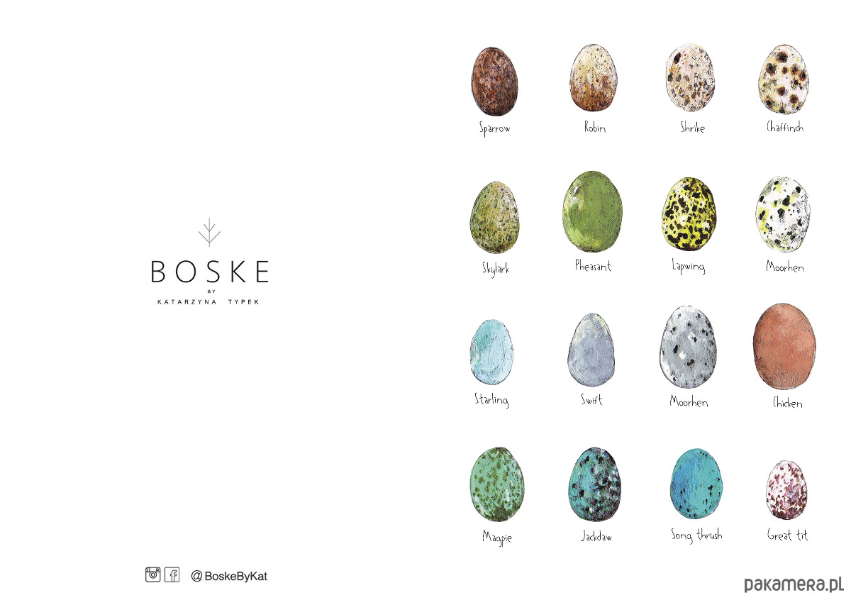 kartki okolicznościowe - wydruki Jajka- Eggs-  Kartka- Grafika- Ilustracja 3