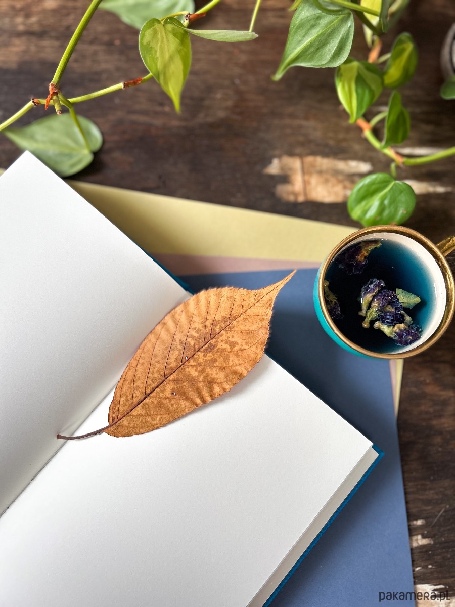 notatniki i albumy Notes Somnium (błękit) 4