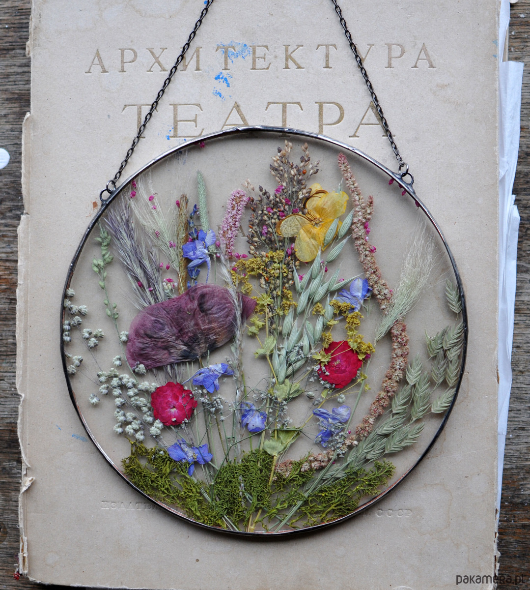 Ozdoby na ścianę Piękna Nasza Polska Cała 6