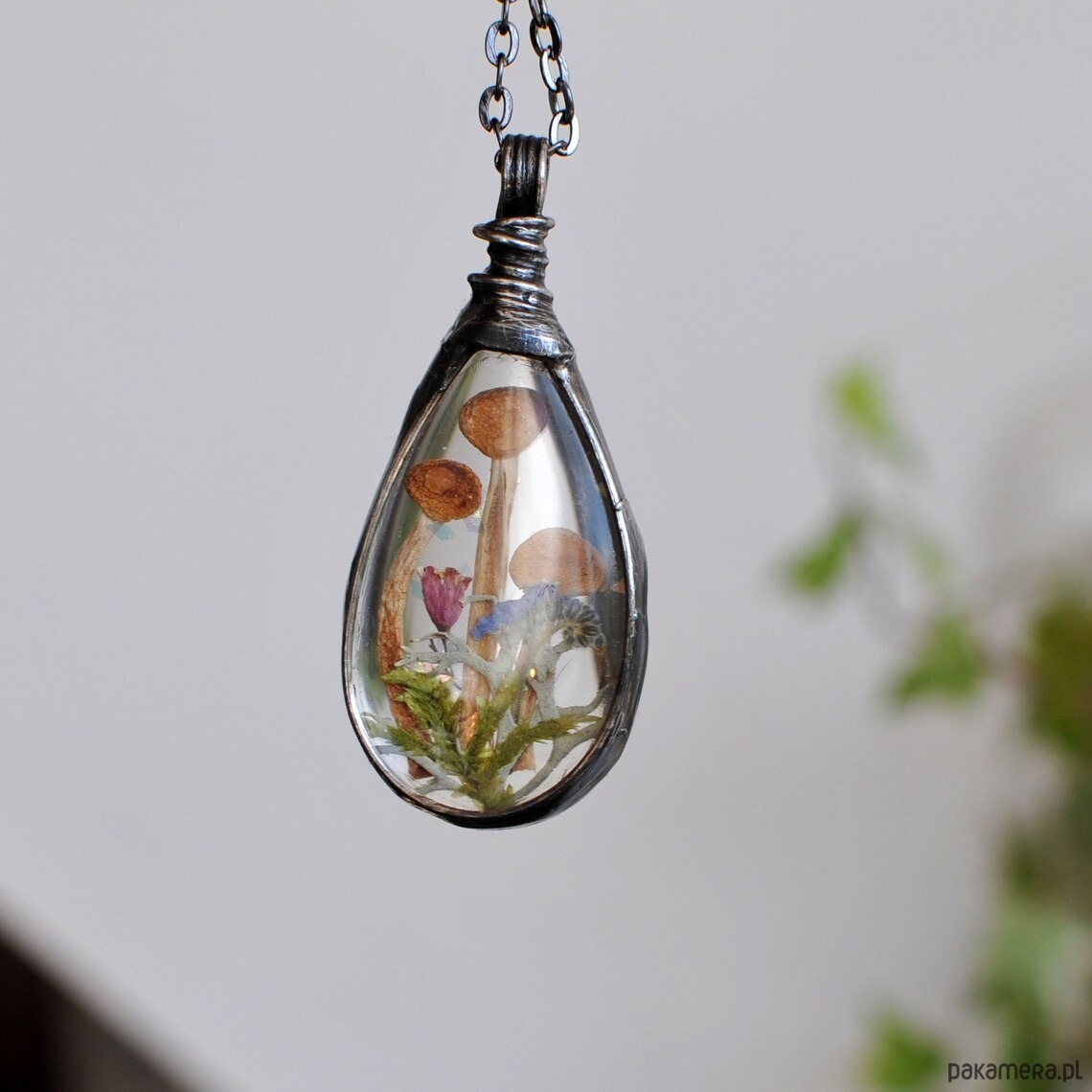 wisiory Las i Grzybki 2