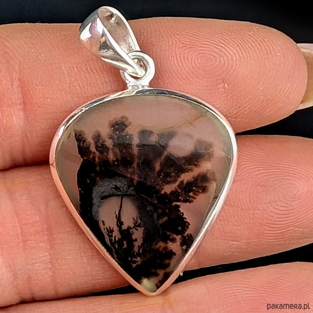 wisiory Jesienny roślinnik Montana agat 2