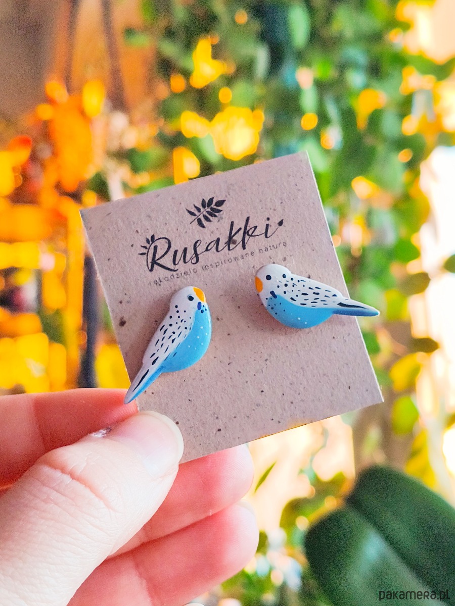 kolczyki z masy plastycznej Kolczyki papużki faliste z wizerunkiem ptaszka w kolorze biało niebieskim 2