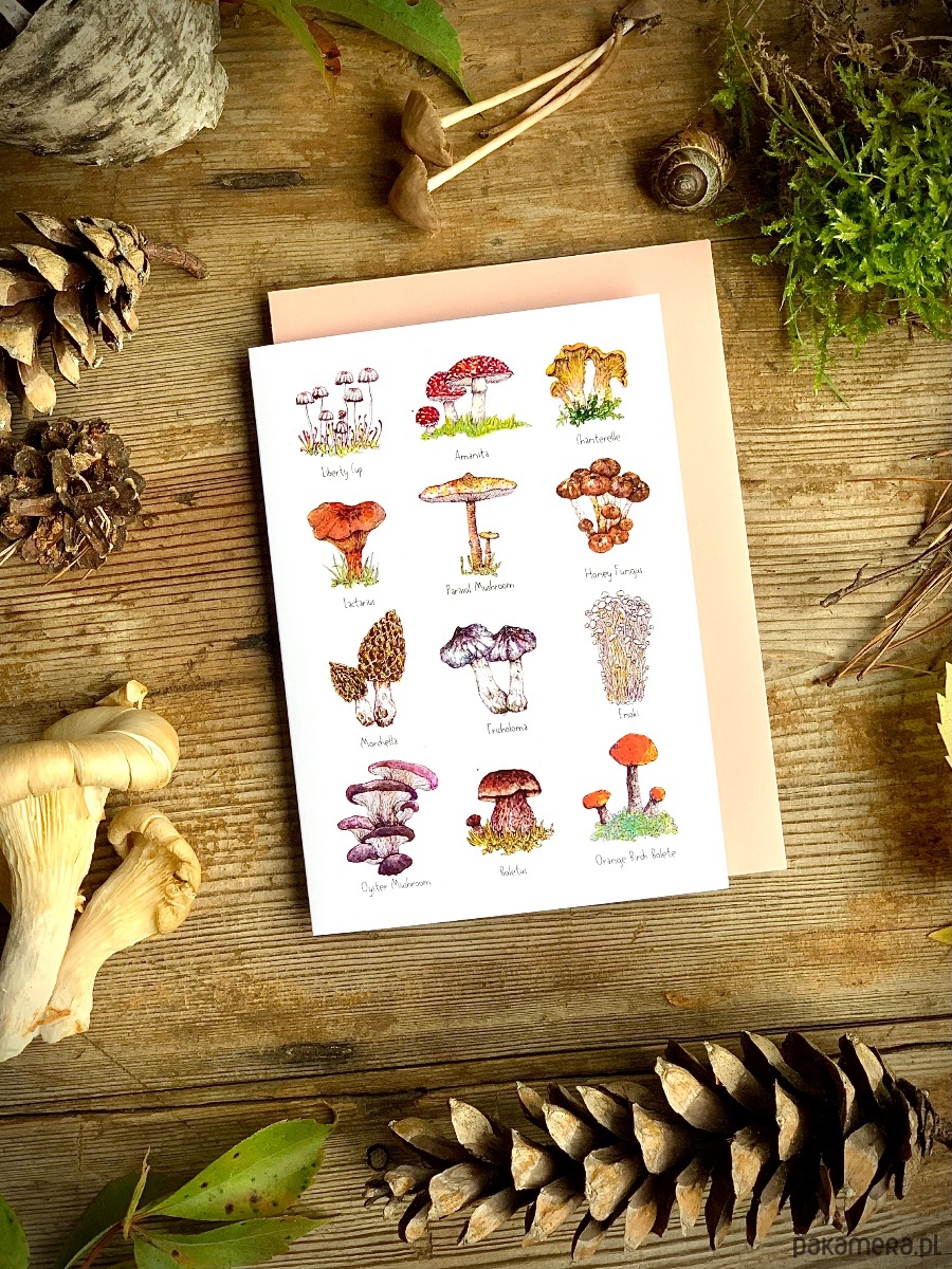 kartki okolicznościowe - wydruki Grzyby- Kartka- Grafika- Ilustracja- Las 1