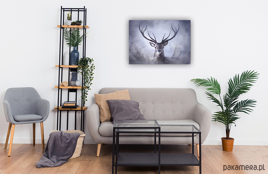 obrazy Obraz - Jeleń - wydruk na płótnie 2