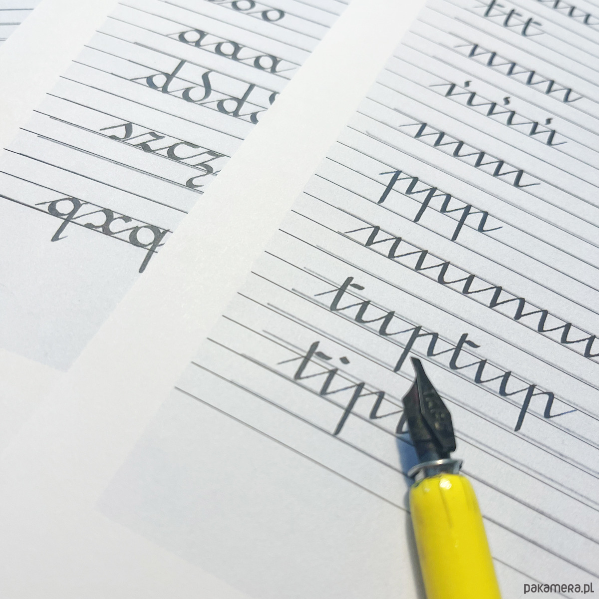 Warsztaty inne Pismo rondowe kurs semestralny 10 spotkań we czwartki 3