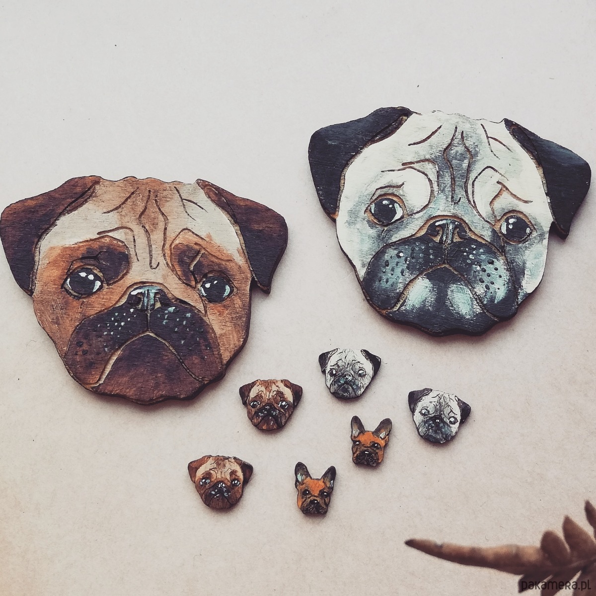 Mopsy 2919638 Pakamera.pl