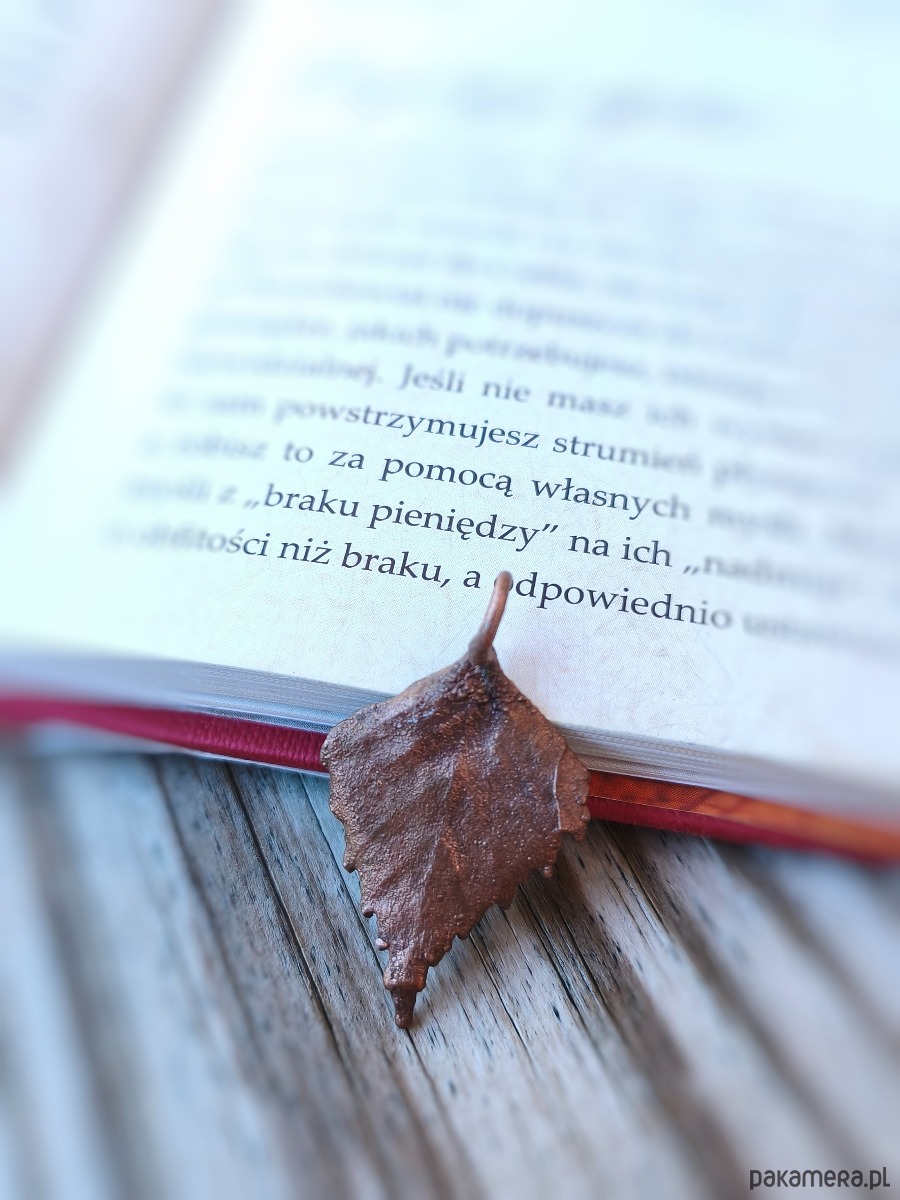 wisiory Listeczek brzozowy III wisiorek miedziany 1