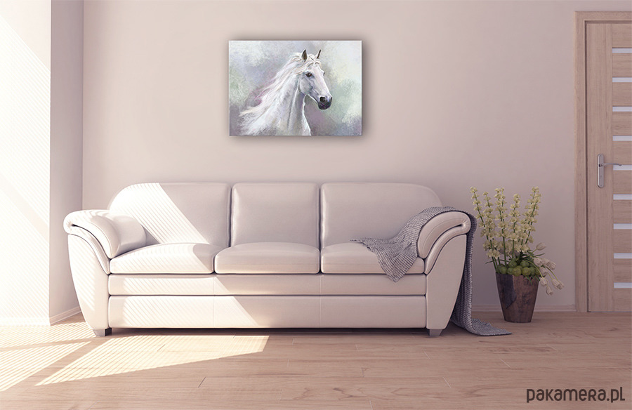 obrazy Obraz - Biały koń - wydruk na płótnie 2