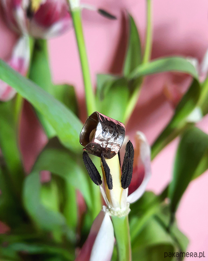 nausznice Nausznica  BETON 1