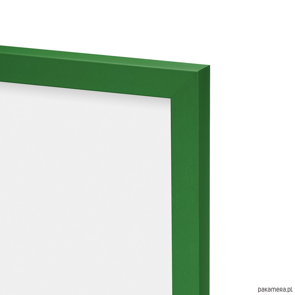 ramki na zdjęcia Zielona ramka do zdjęć i plakatów 3