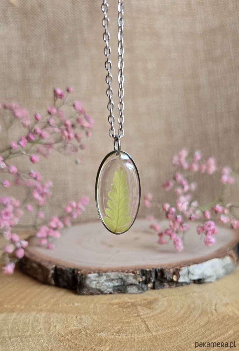 wisiory Srebrna zawieszka jajowata suszone kwiaty paproć paprotka las 1