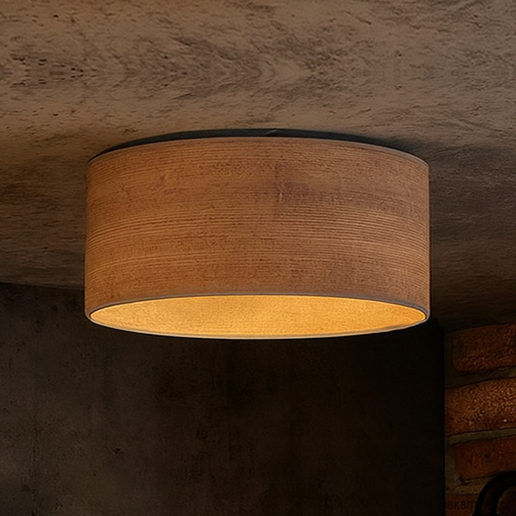 plafony Plafon do przedpokoju w nowoczesnym designie DUBAJ ECO fi - 30 cm 1