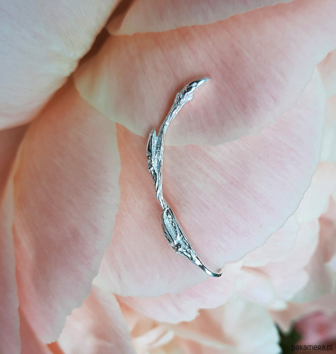 nausznice Kolczyk- nausznica GAŁĄZKA Długa prawe ucho 1