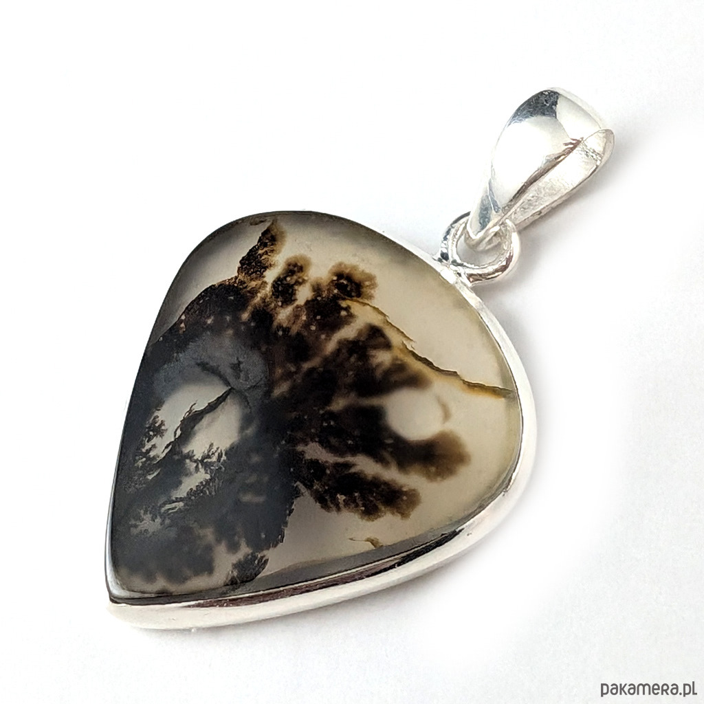 wisiory Jesienny roślinnik Montana agat 1