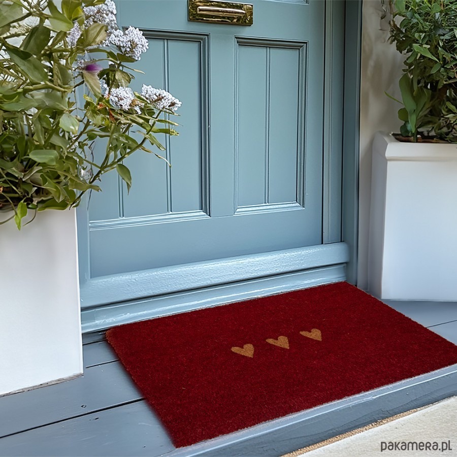 wycieraczki pod drzwi Wycieraczka wejściowa, kokosowa, serca 45x75 cm 1