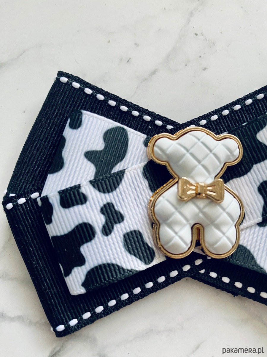 broszki Brosza z MISIEM Nowość 6