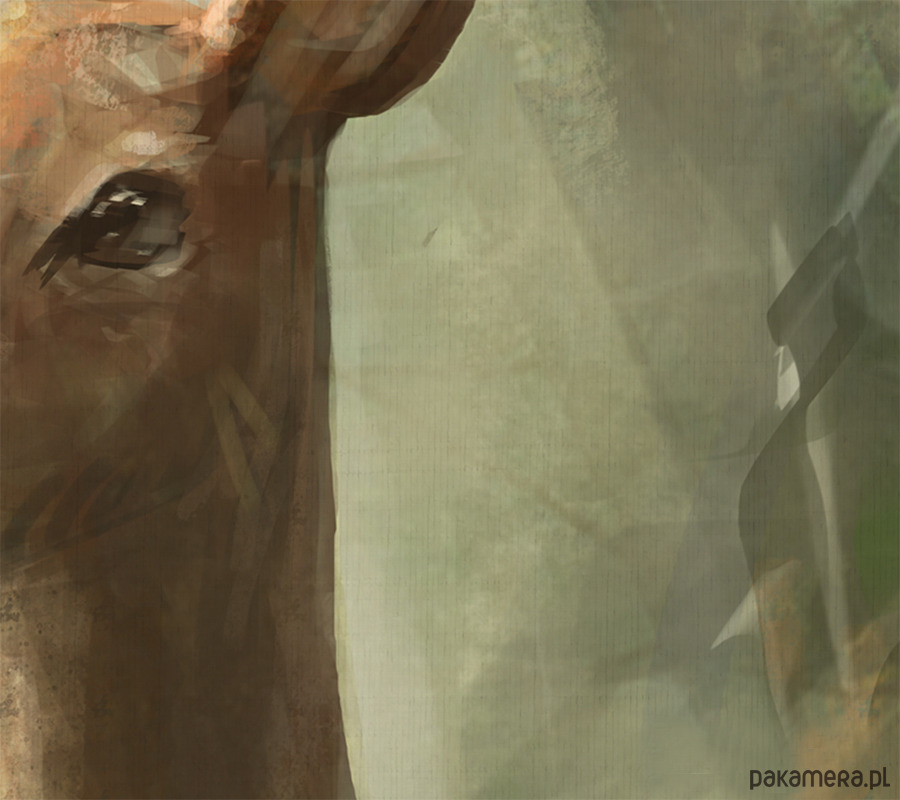 obrazy Obraz - Sarna - wydruk na płótnie 3