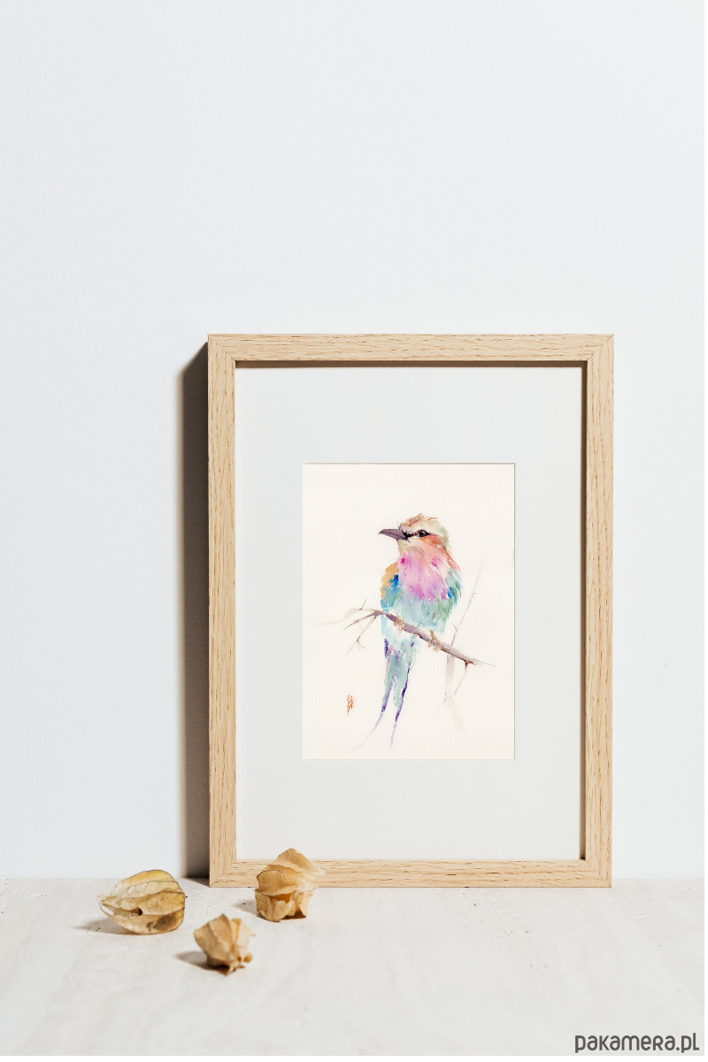 obrazy Oryginalna akwarela. Kraska 2