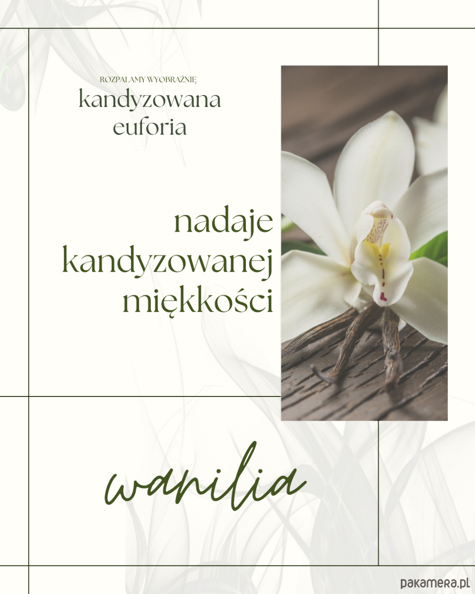 świeczniki i świece Kandyzowana euforia 4