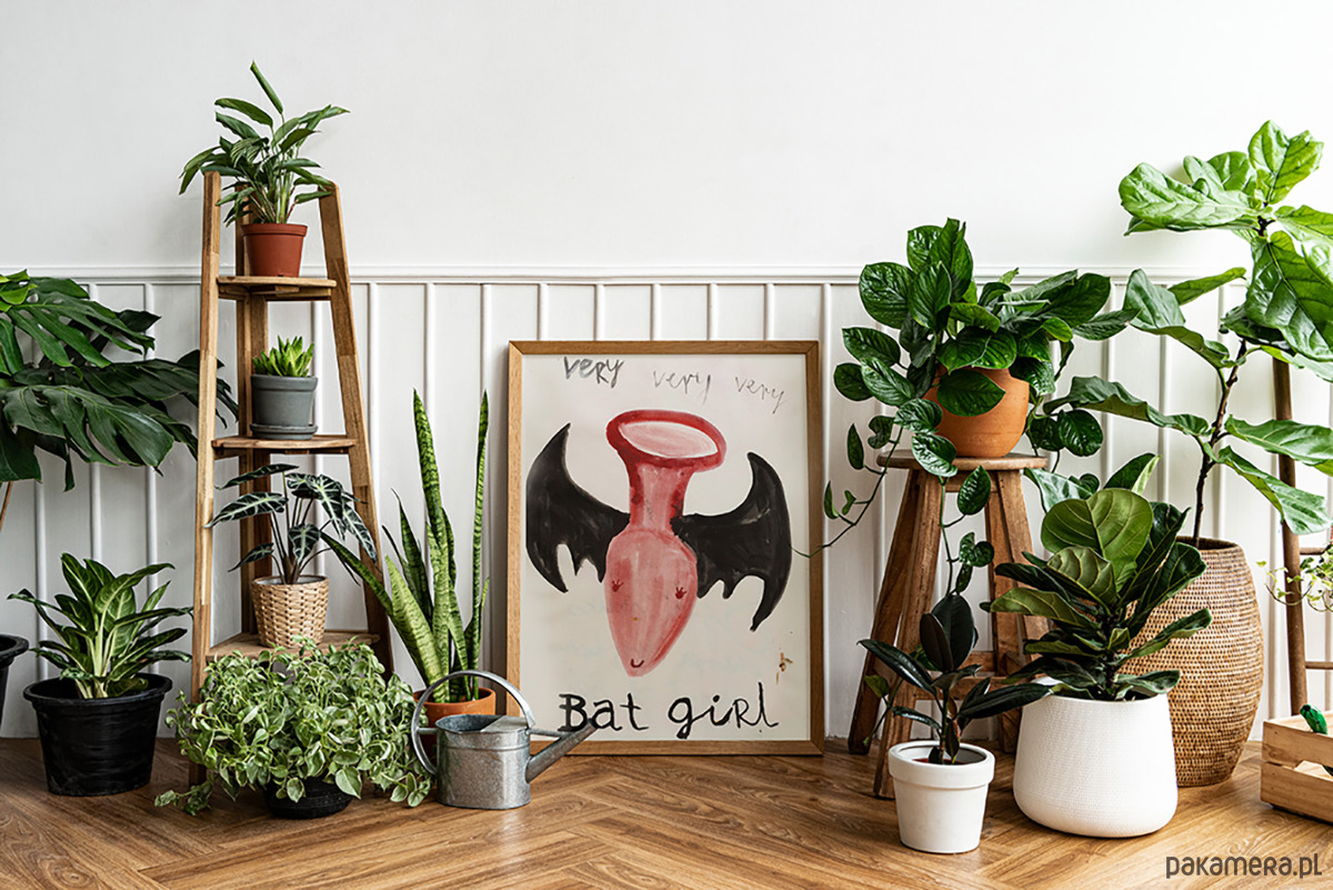 plakaty Very Bat Girl Erotyczny Nietoperz Helloween Zabawka Dla Dziewczyny Plakat 3