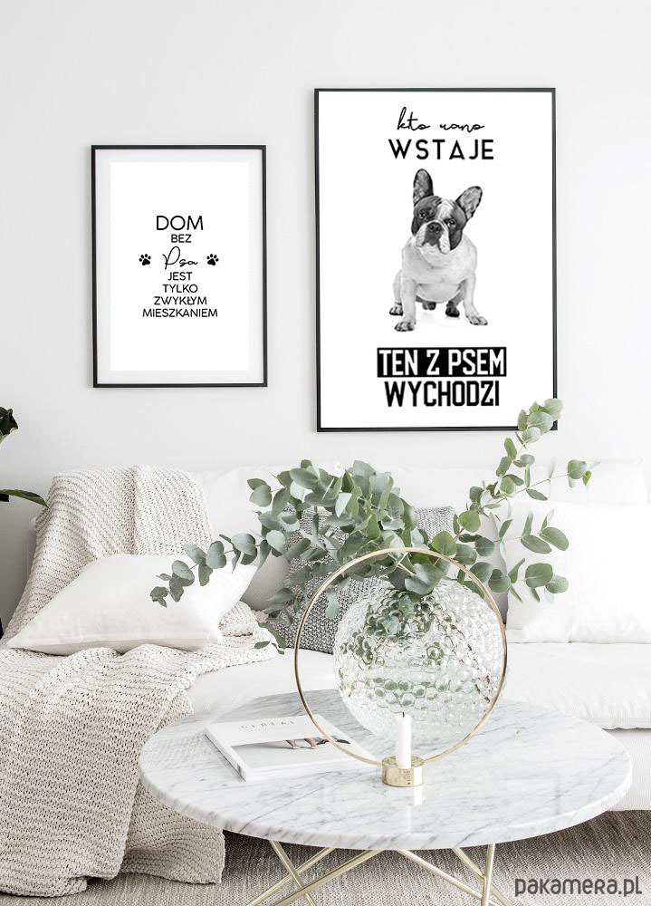 plakaty Plakat z psem - kto rano wstaje - buldog francuski 1