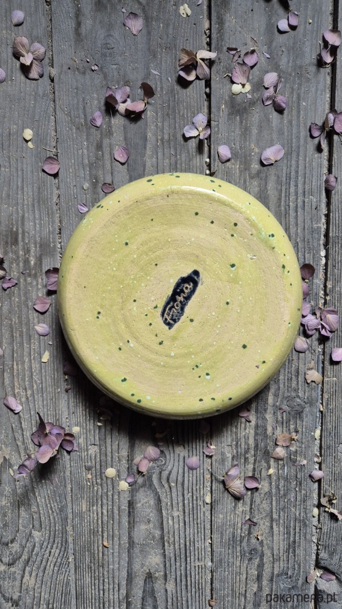 patery i talerze Wigotnica Talerz Głeboki na owsiankę, dla Grzybiarza, Talerz ilustrowany Grzyb 2