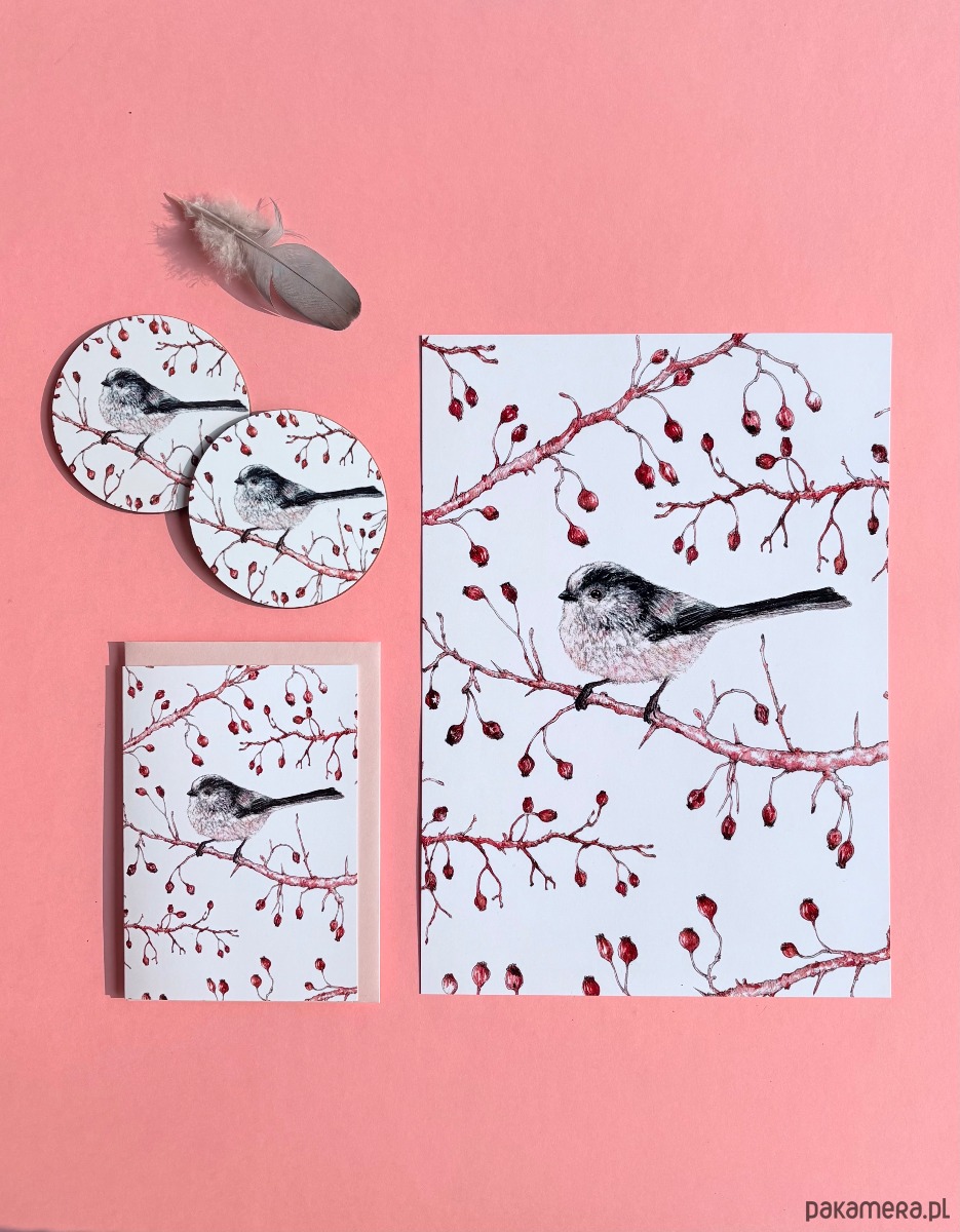 grafiki i ilustracje Raniuszek - ilustracja- grafika- ptaki polskie 1