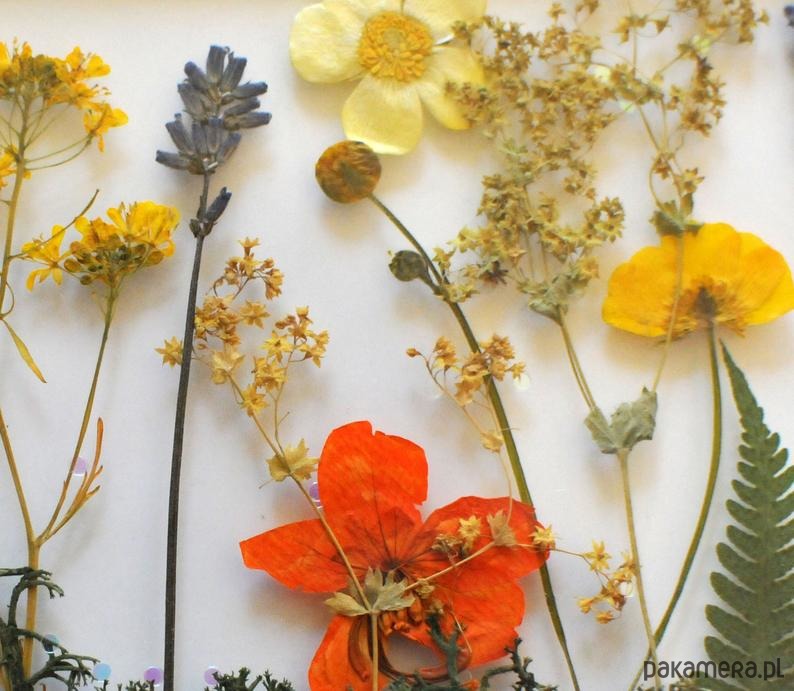 Ozdoby na ścianę Dekor Łąka JASKRY 2