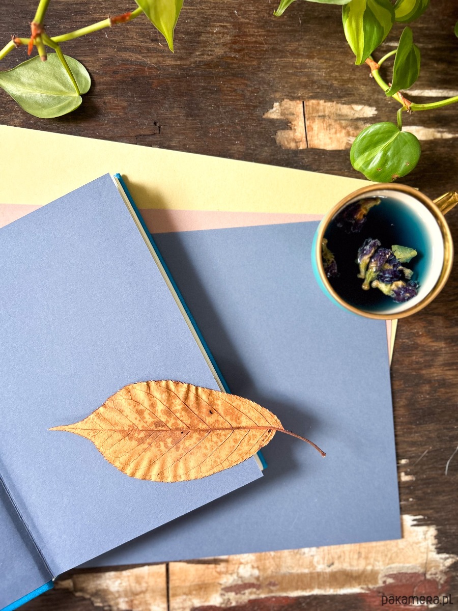 notatniki i albumy Notes Somnium (błękit) 1