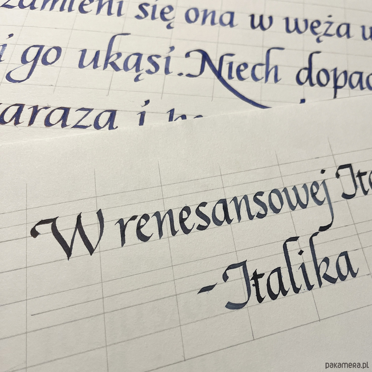 Warsztaty inne Skup się na sobie i kaligrafii Relaks z italiką 2