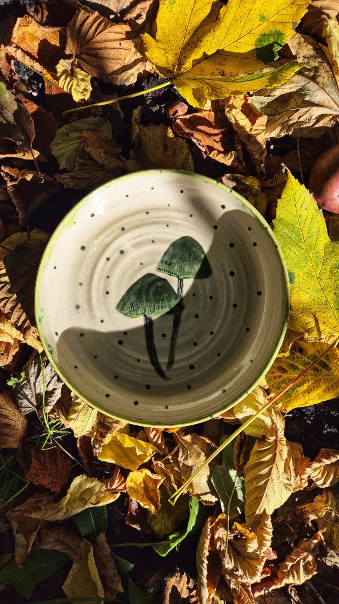 patery i talerze Wigotnica Talerz Głeboki na owsiankę, dla Grzybiarza, Talerz ilustrowany Grzyb 1