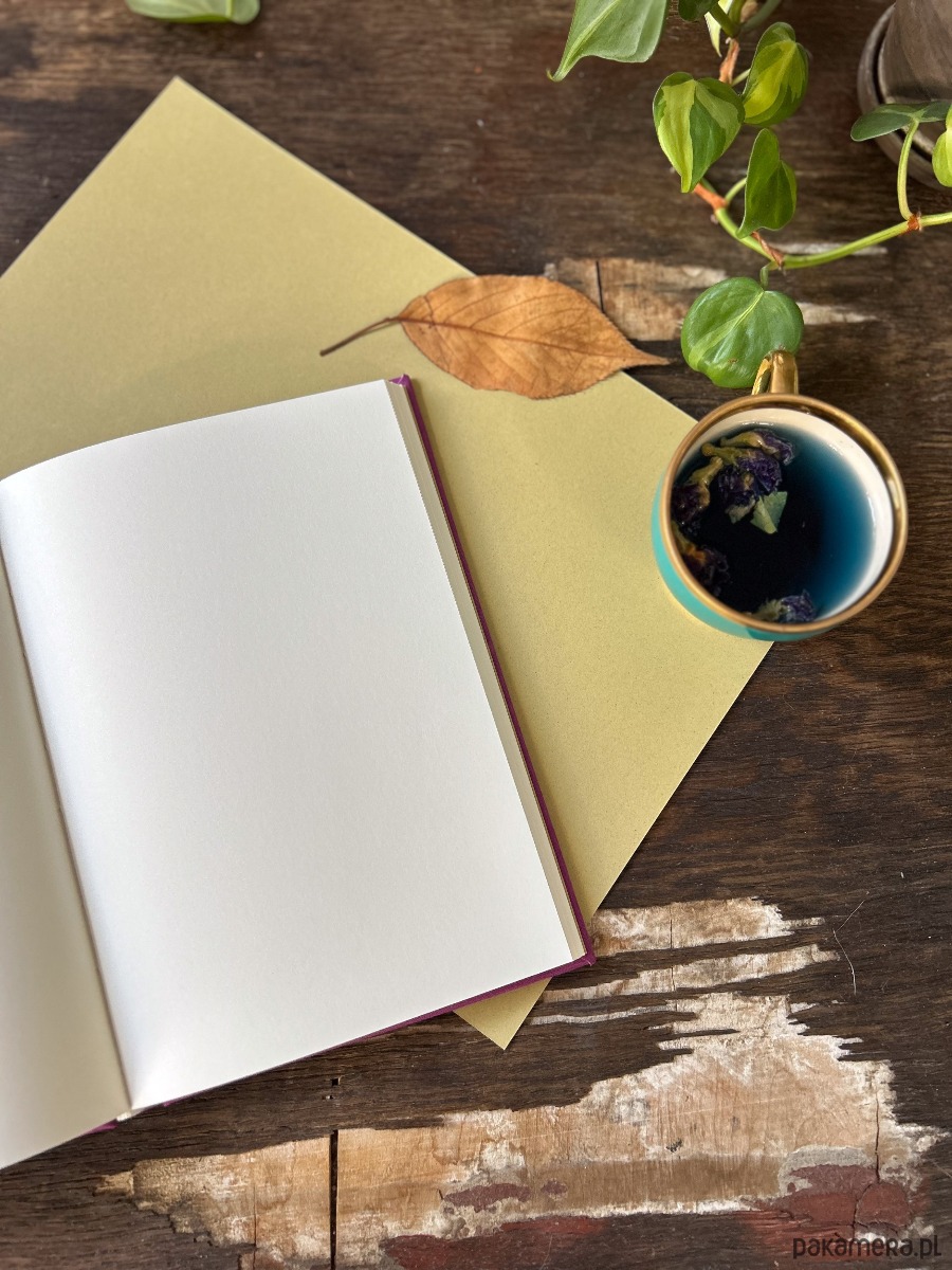 notatniki i albumy Notes Somnium (fiolet) 4