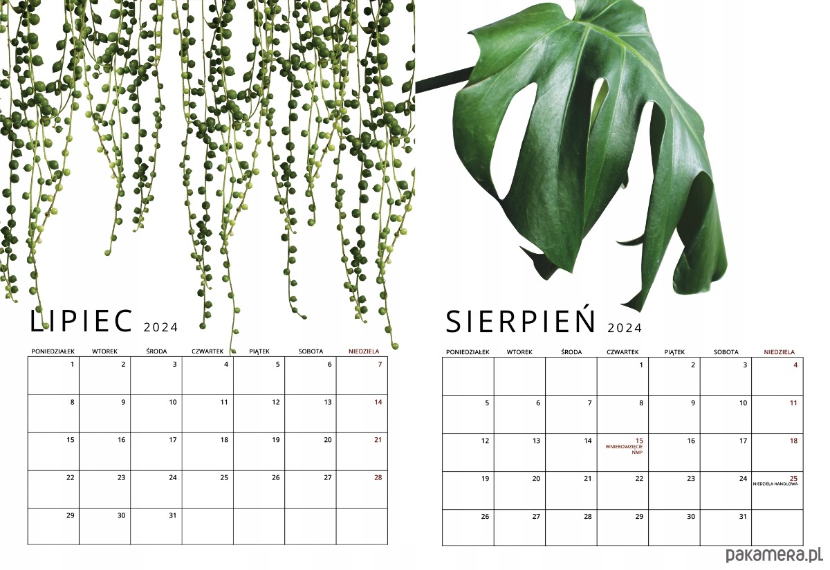 kalendarze i plannery Kalendarz ścienny na Spirali Botaniczny A3 Premium 4