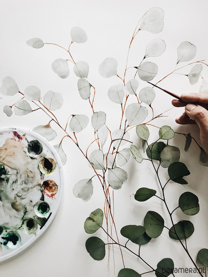 plakaty Eucalyptus / Fine art Print 2