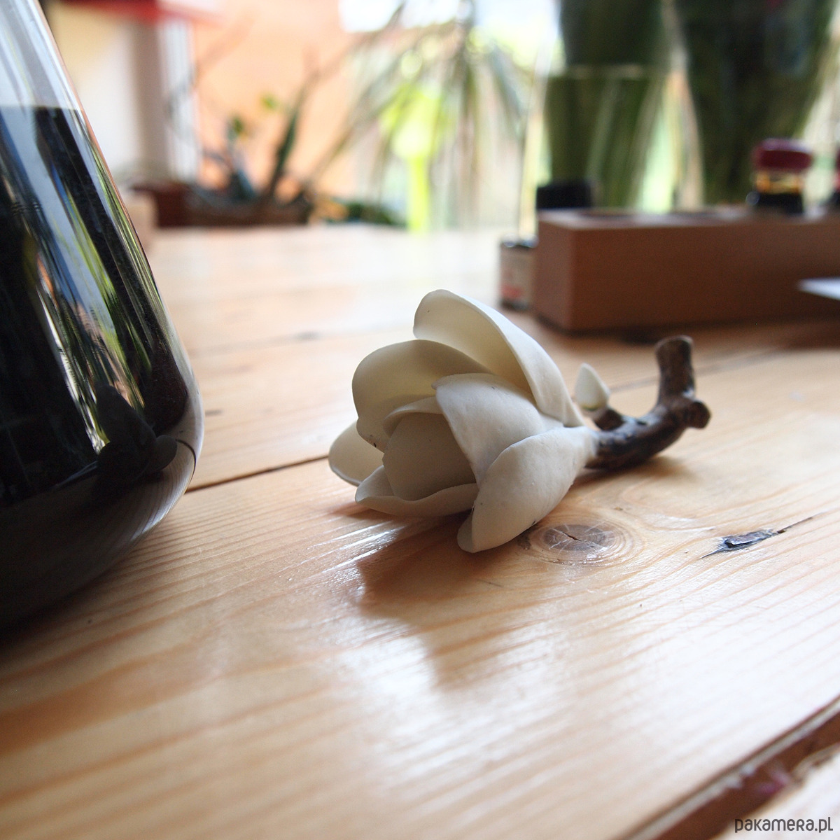 Warsztaty inne W średniowiecznym skryptorium: piękna i smukła tekstura gotycka 2