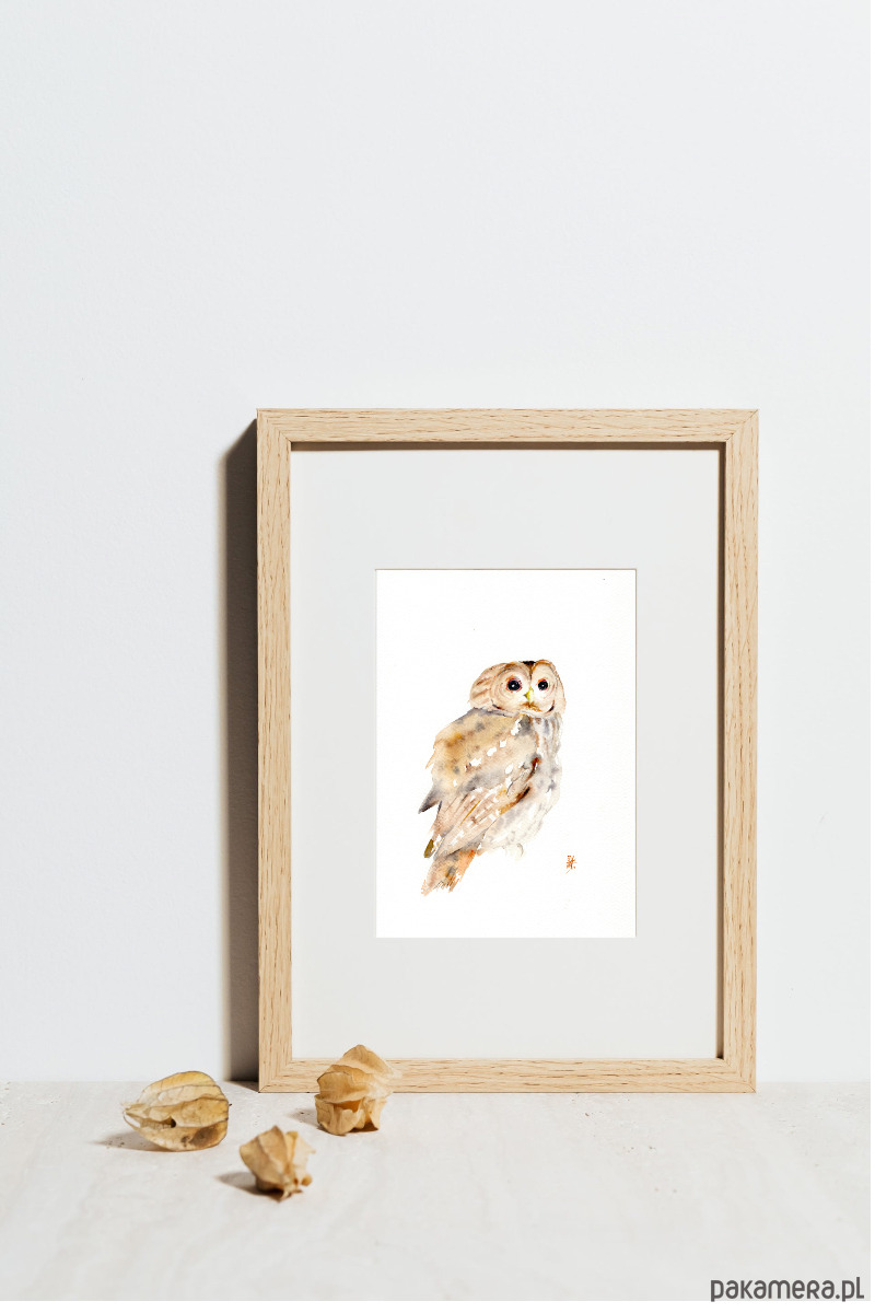 obrazy Oryginalna akwarela. Sowa 2