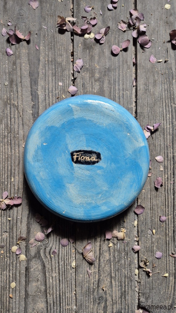 patery i talerze Mhchomor niebieski Talerz Głeboki duży, dla Grzybiarza, Talerz ilustrowany 2